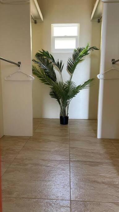 The Pearl - Spacious Air Conditioned 3Bd, 2Bth Villa With Gorgeous Views Old Road エクステリア 写真